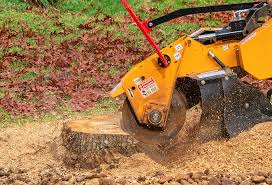 Best Lawn Grading and Leveling  in Wilsonville, AL